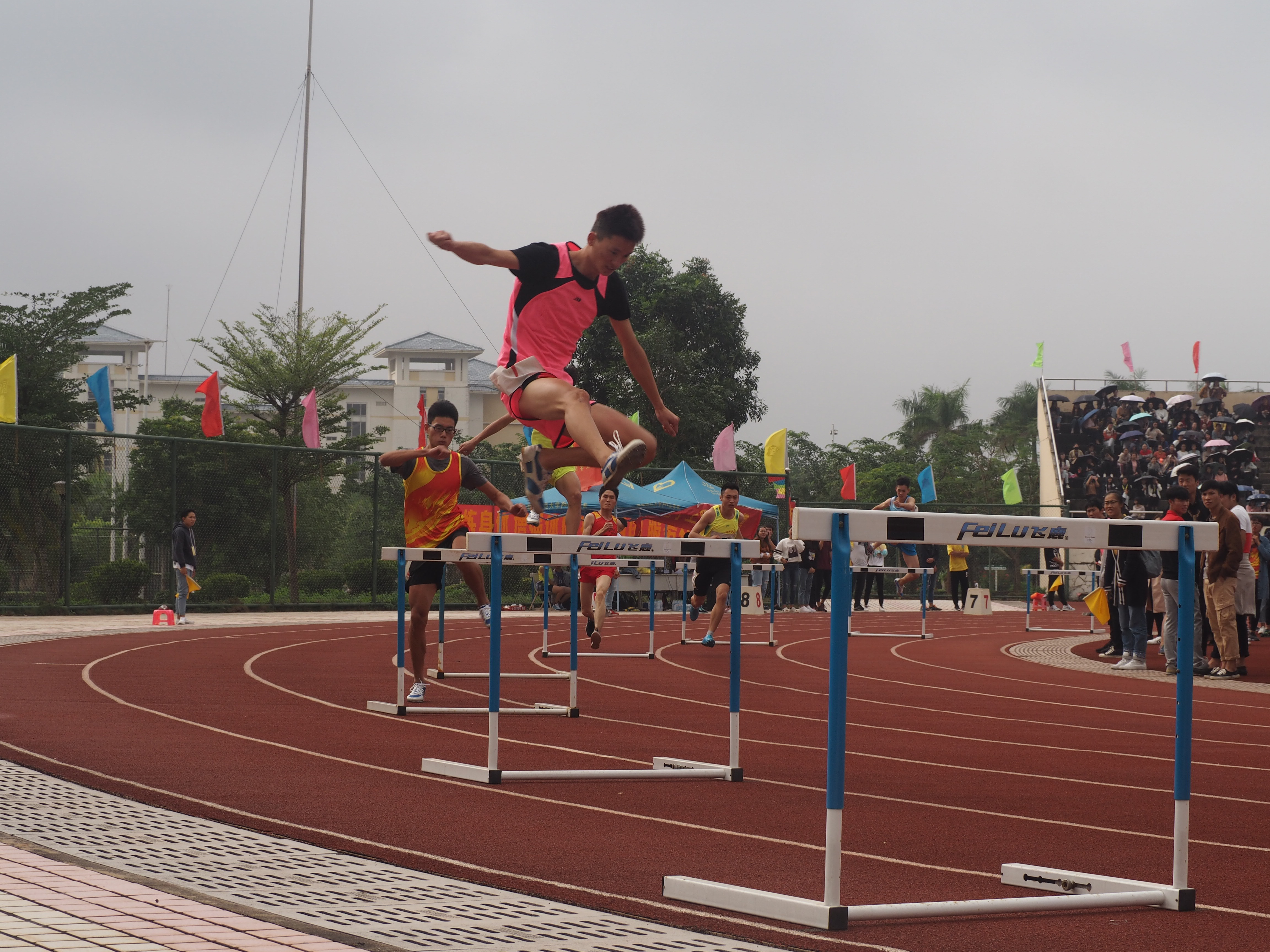 我院在校第34届校运会中喜获佳绩