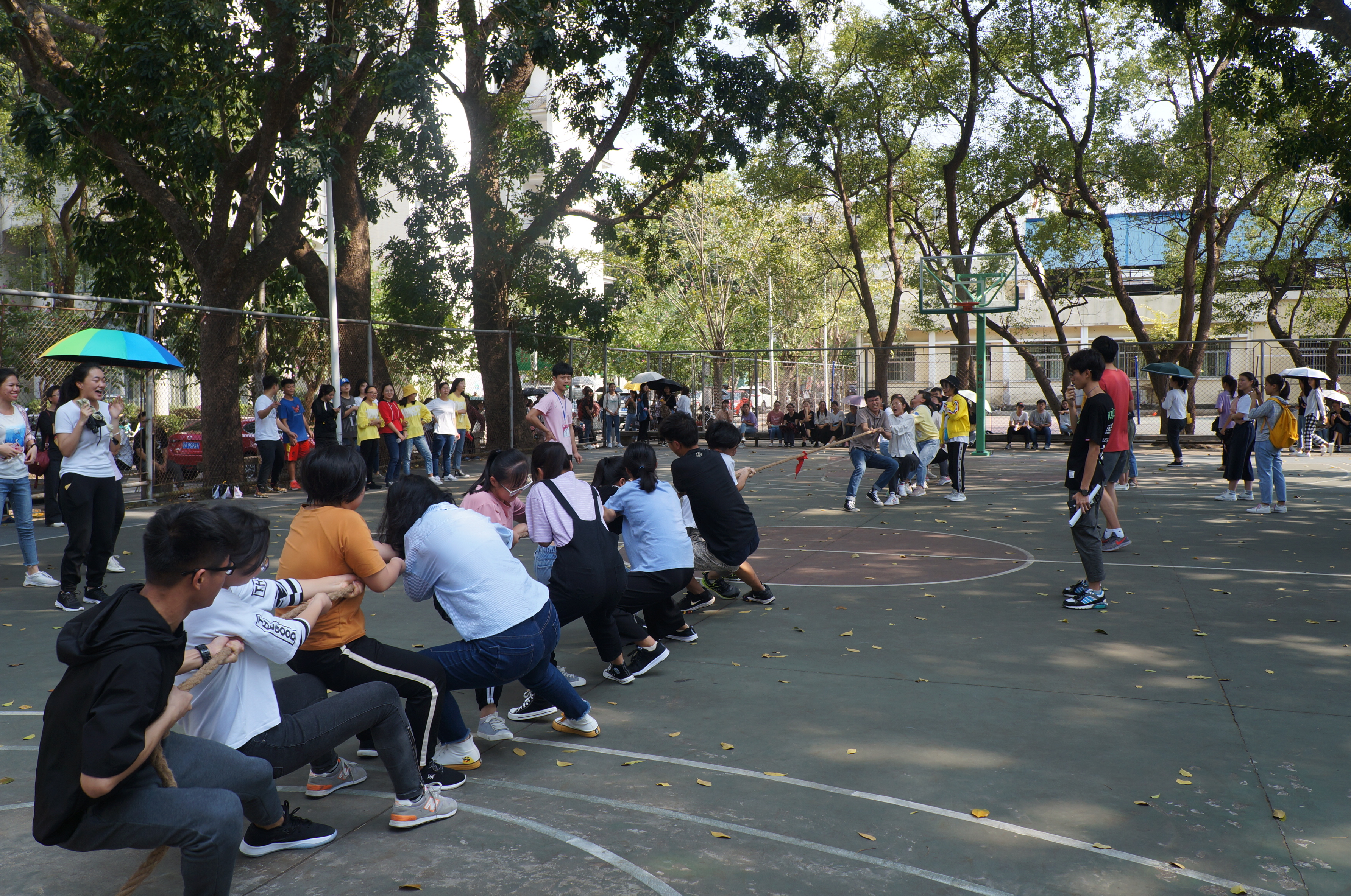 同心同力,赛出风采——我院成功举办3.7女生节拔河友谊赛