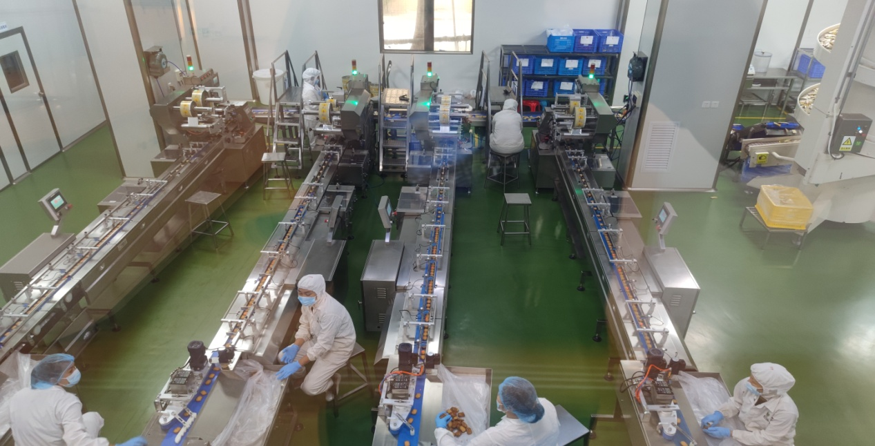 国际经济与贸易专业顺利完成2024年秋季学期专业见习活动