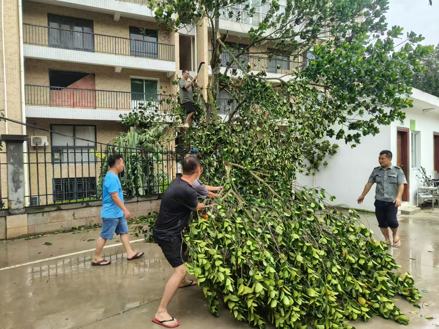 各单位开展校园恢复重建工作