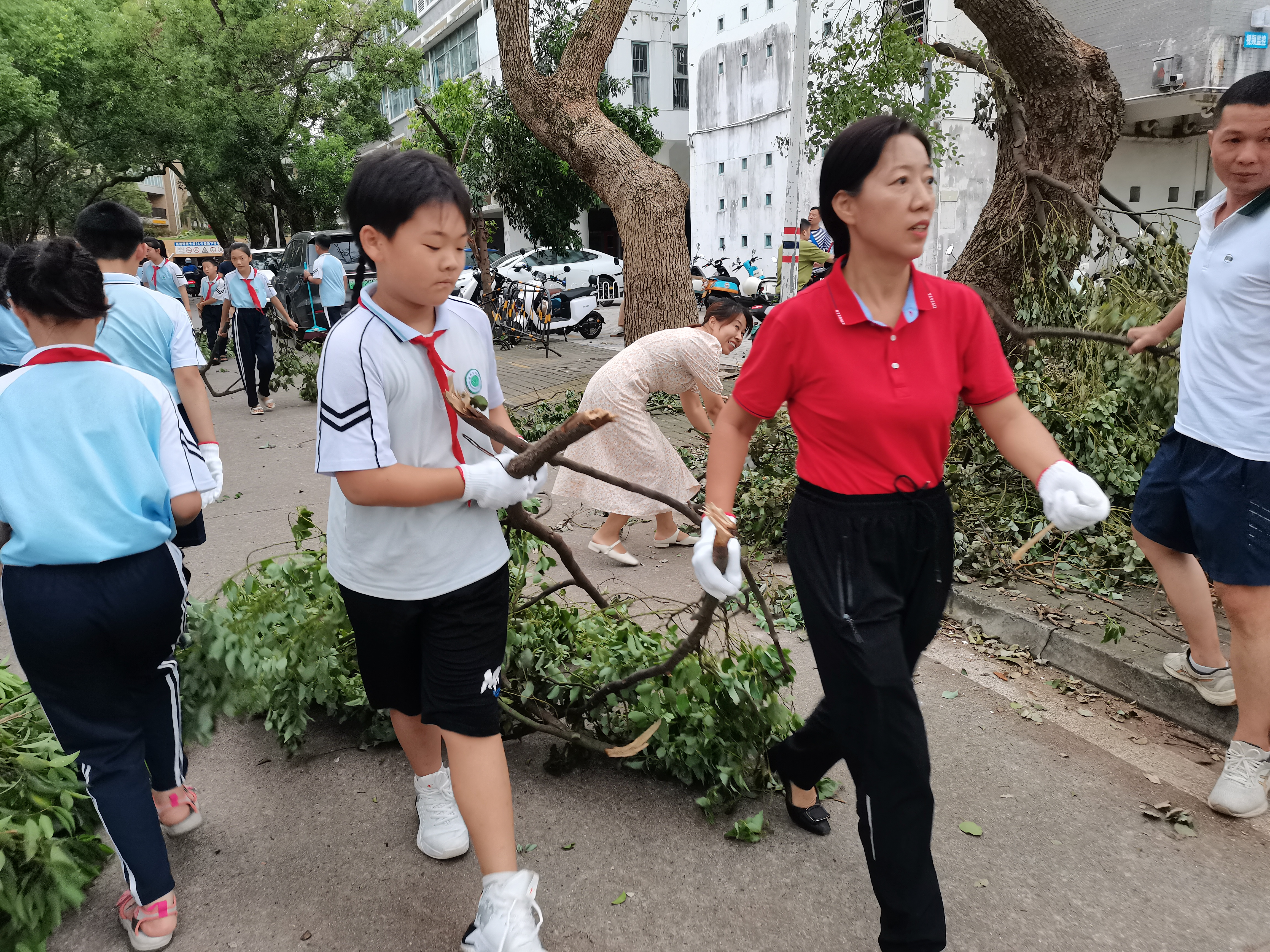 各单位开展校园恢复重建工作