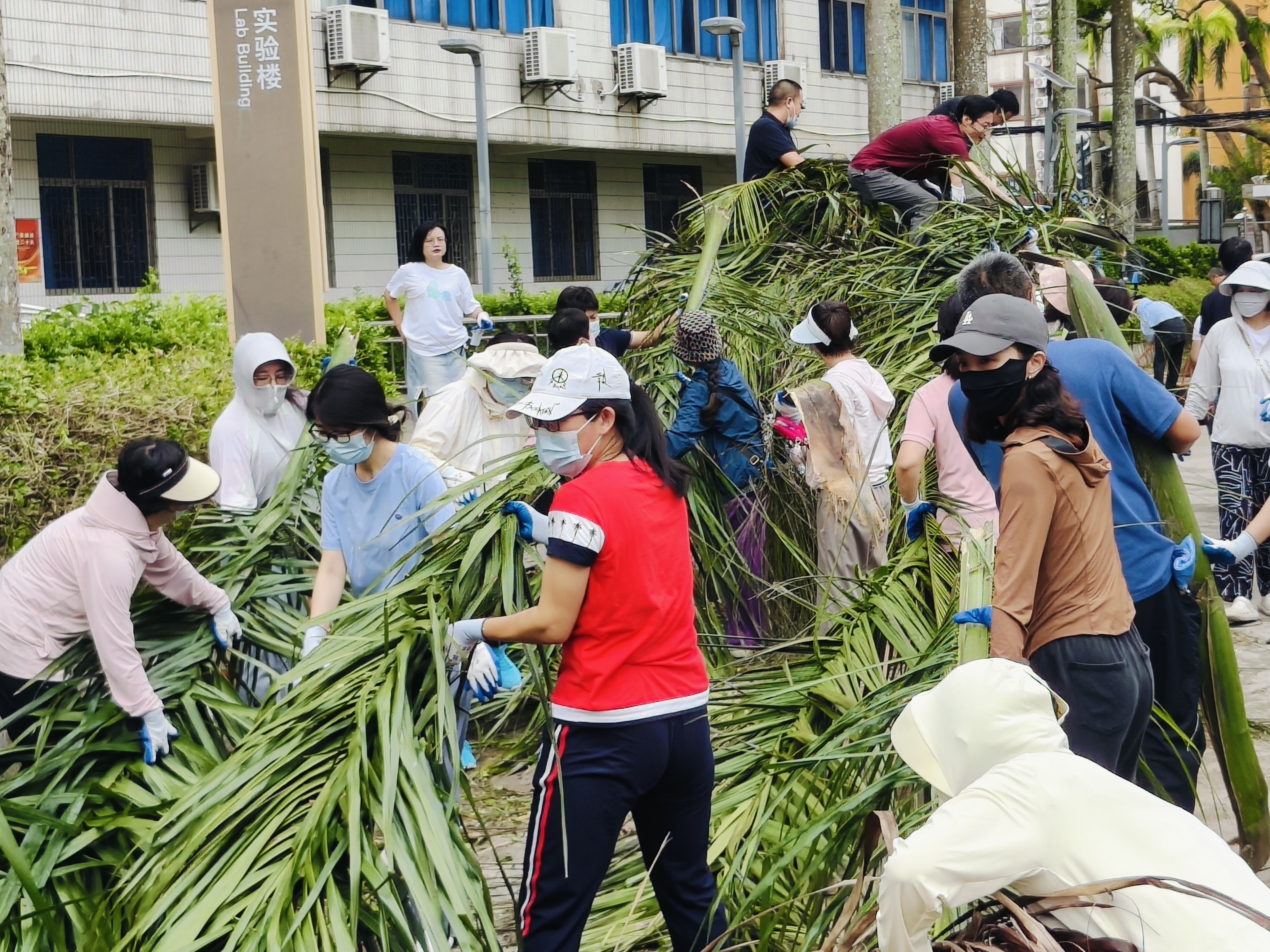 各单位开展校园恢复重建工作