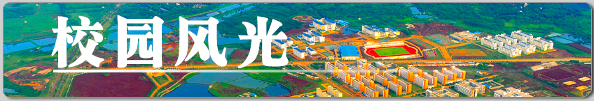 校园风光