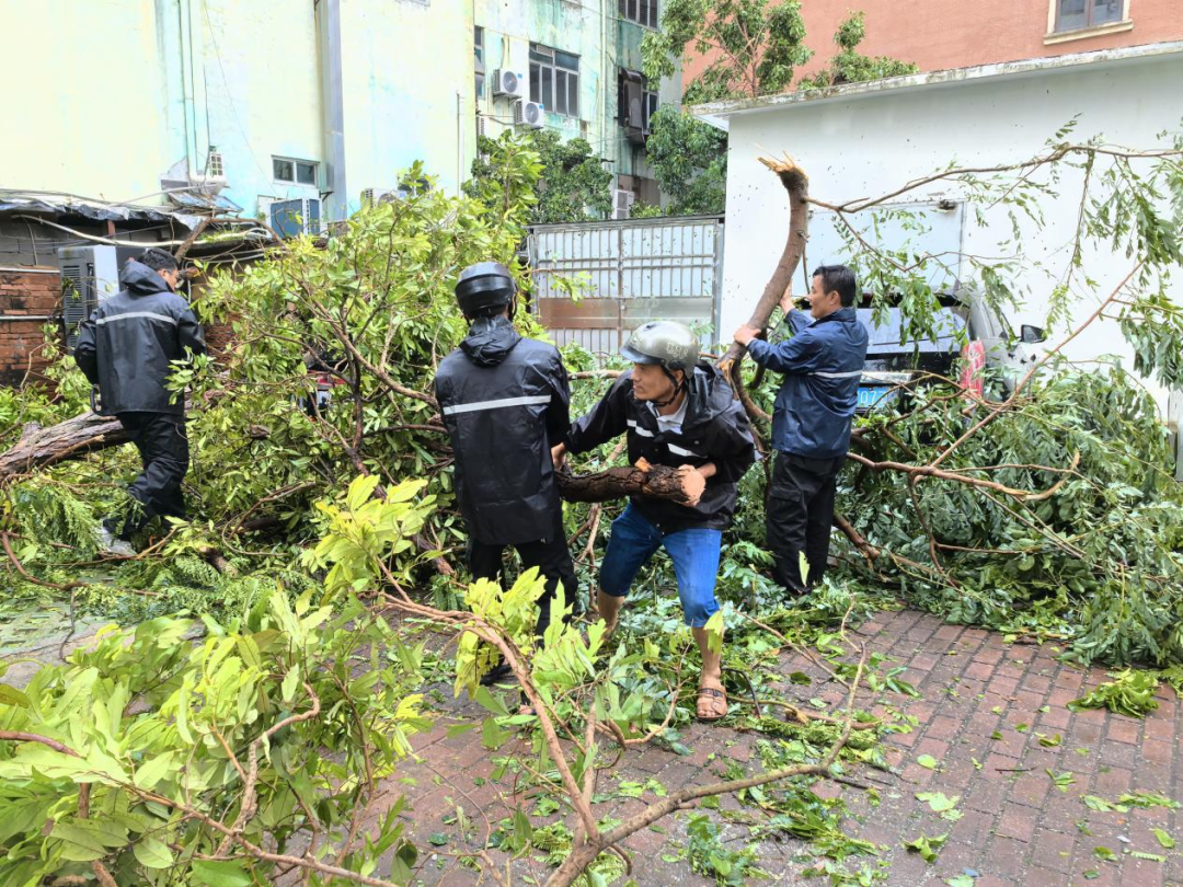 各单位开展校园恢复重建工作 （三）