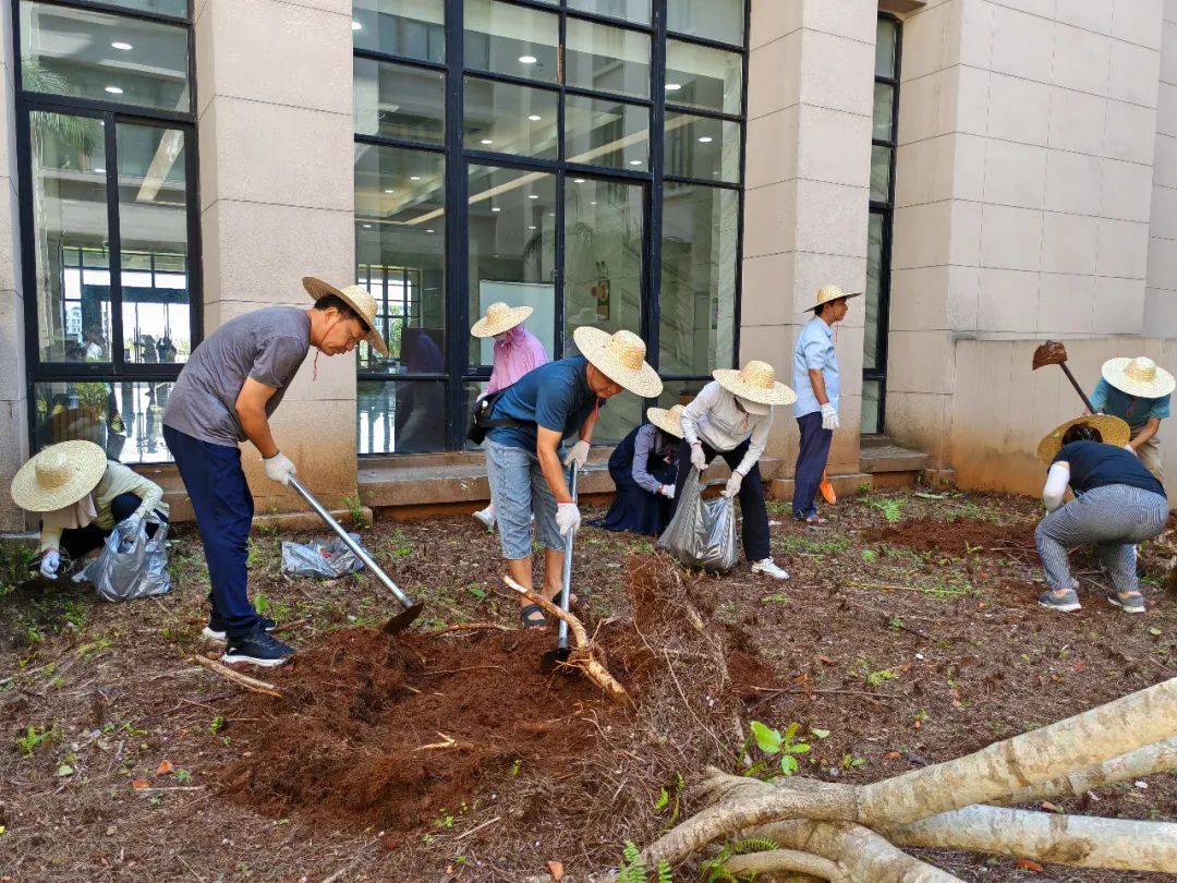 各单位开展校园恢复重建工作 （三）