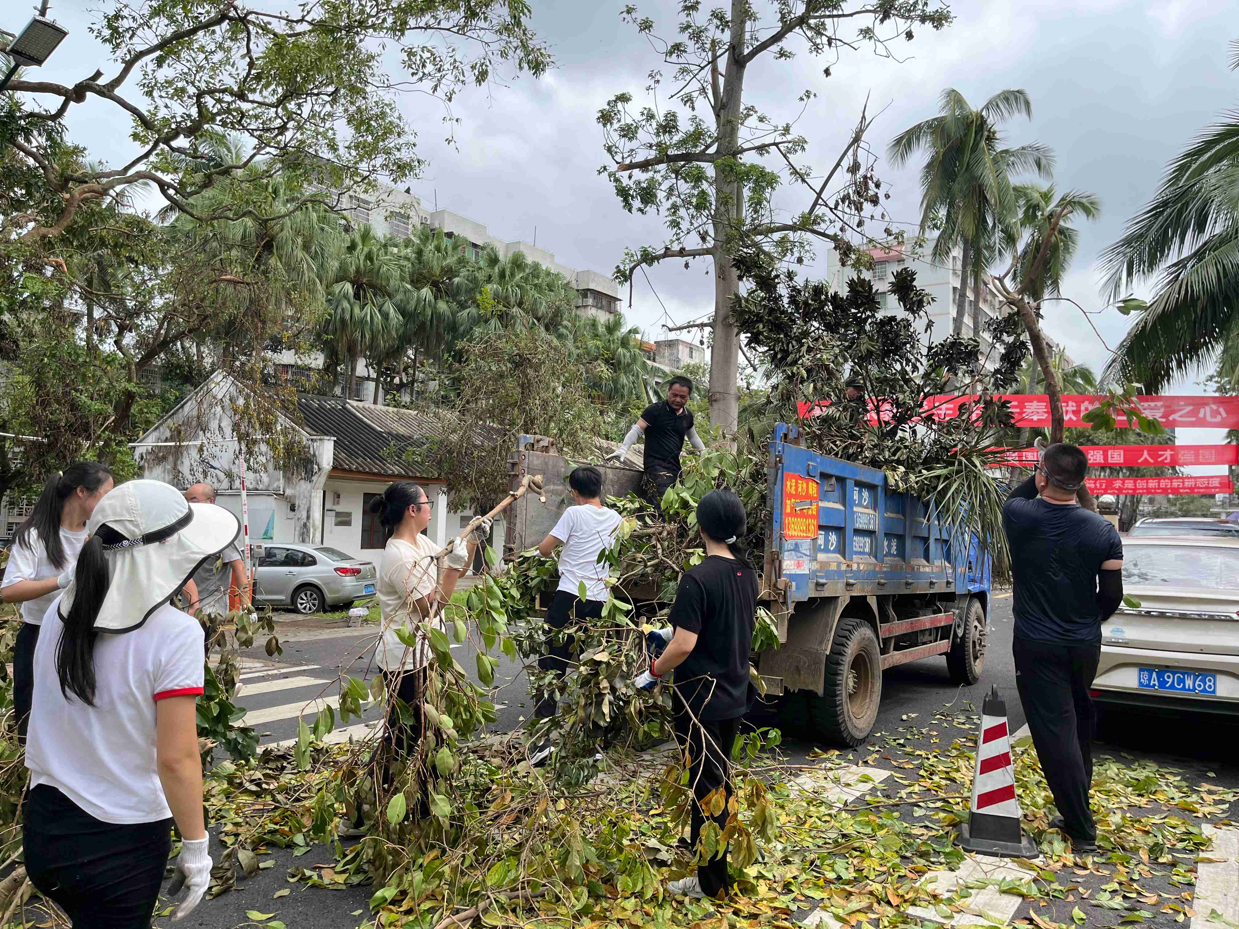 全力以“复”！校领导带领机关党员干部开展校园恢复工作