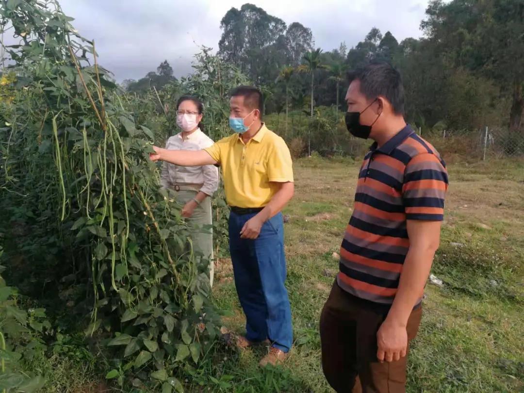 党员王康海：甘为脱贫孺子牛， 耕耘群众致富路