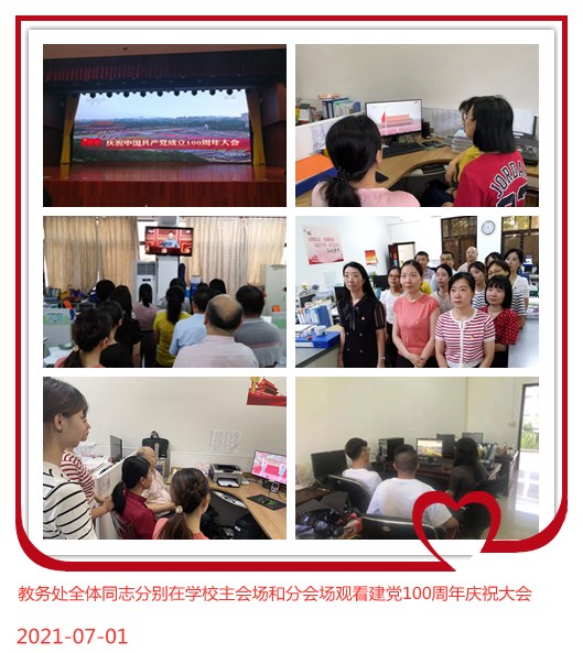 机关党委第九支部党员观看庆祝中国共产党成立100周年大会