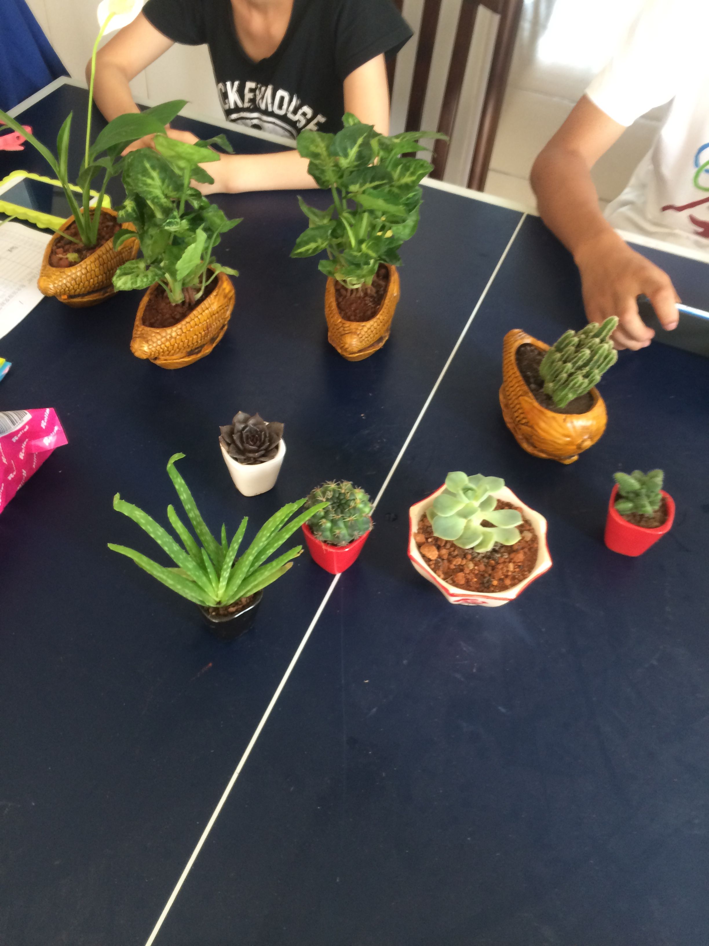 你若坚持,便是胜利——记经济与管理学院“星月活动”颁奖仪式