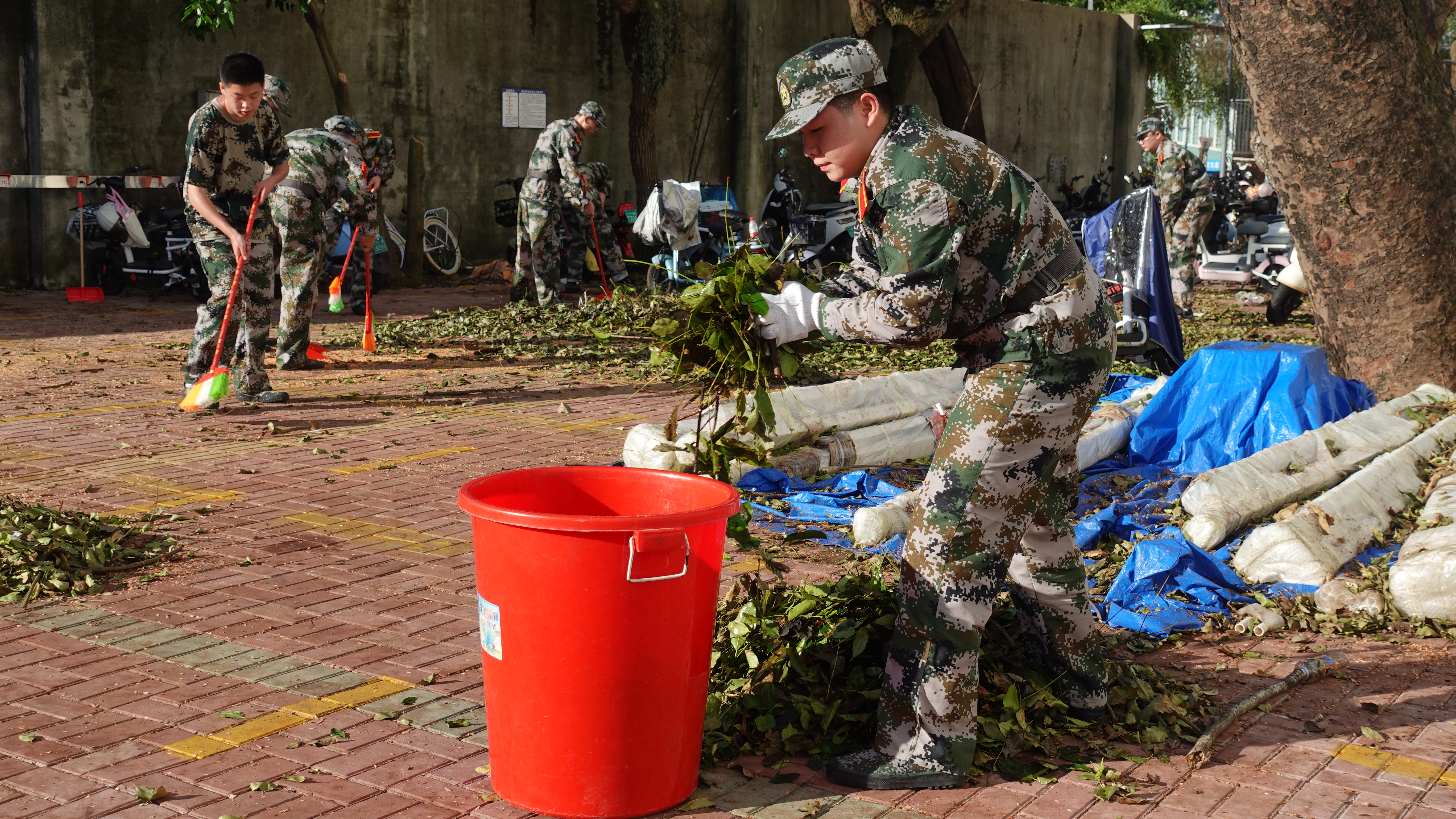 2024级本科生开始军训