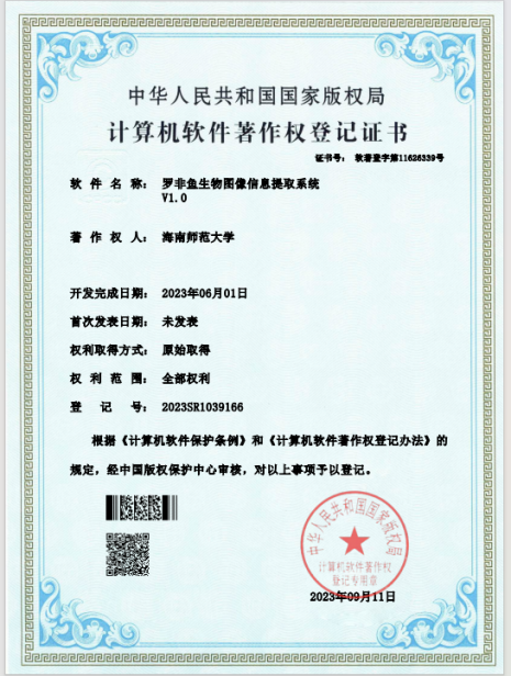 砥砺前行，创意无界——榕树基金项目“年年有鱼”项目经验分享