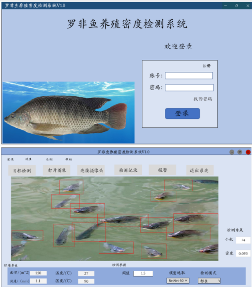 砥砺前行，创意无界——榕树基金项目“年年有鱼”项目经验分享
