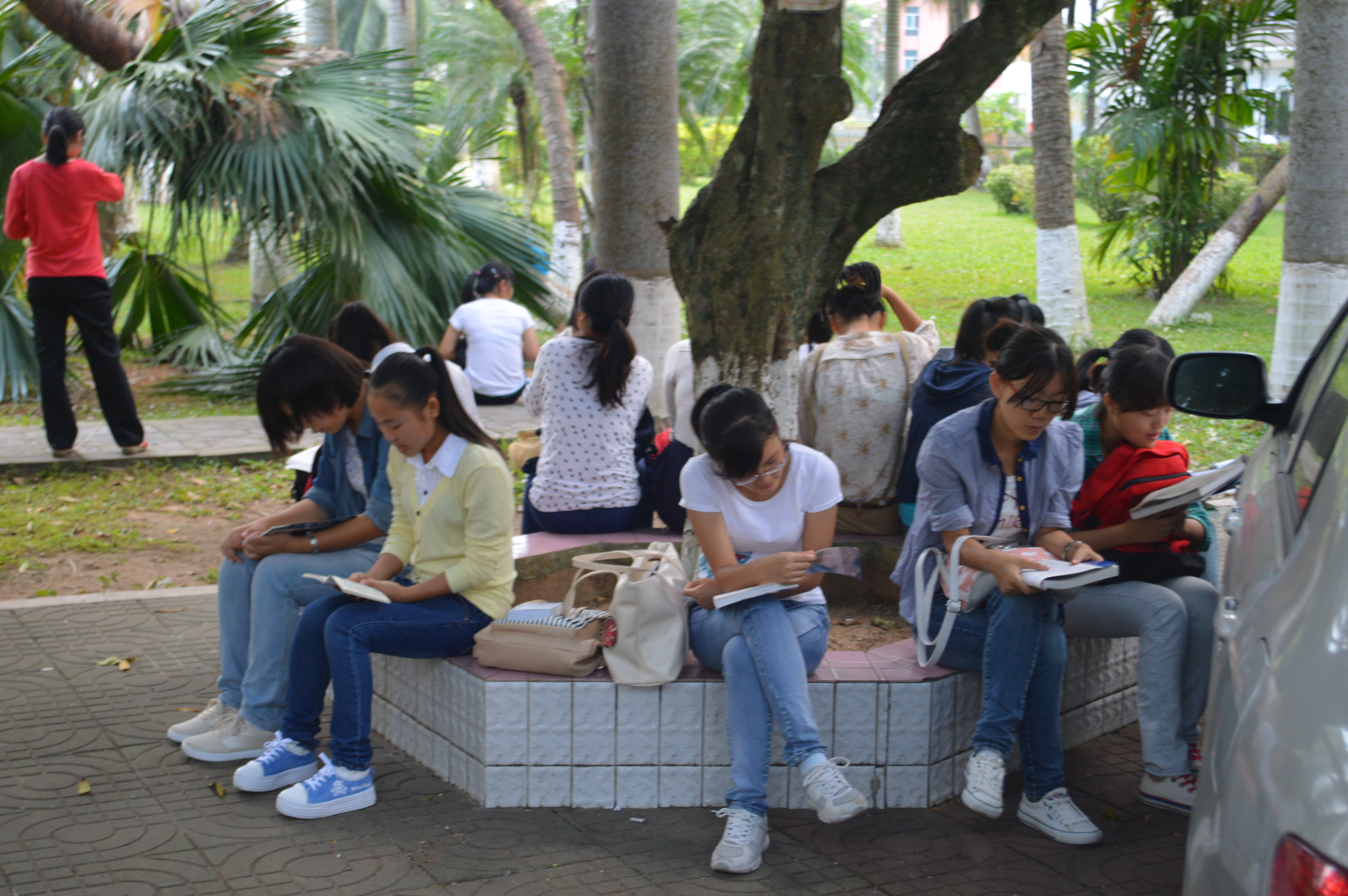 沐浴晨风 书声校园――记数学与统计学院晨读活动    