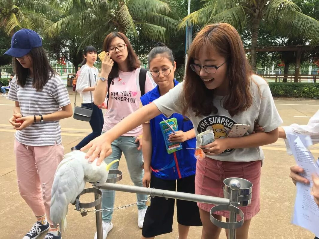 青年之声・记新闻传播与影视学院“保护动物”摄影展活动