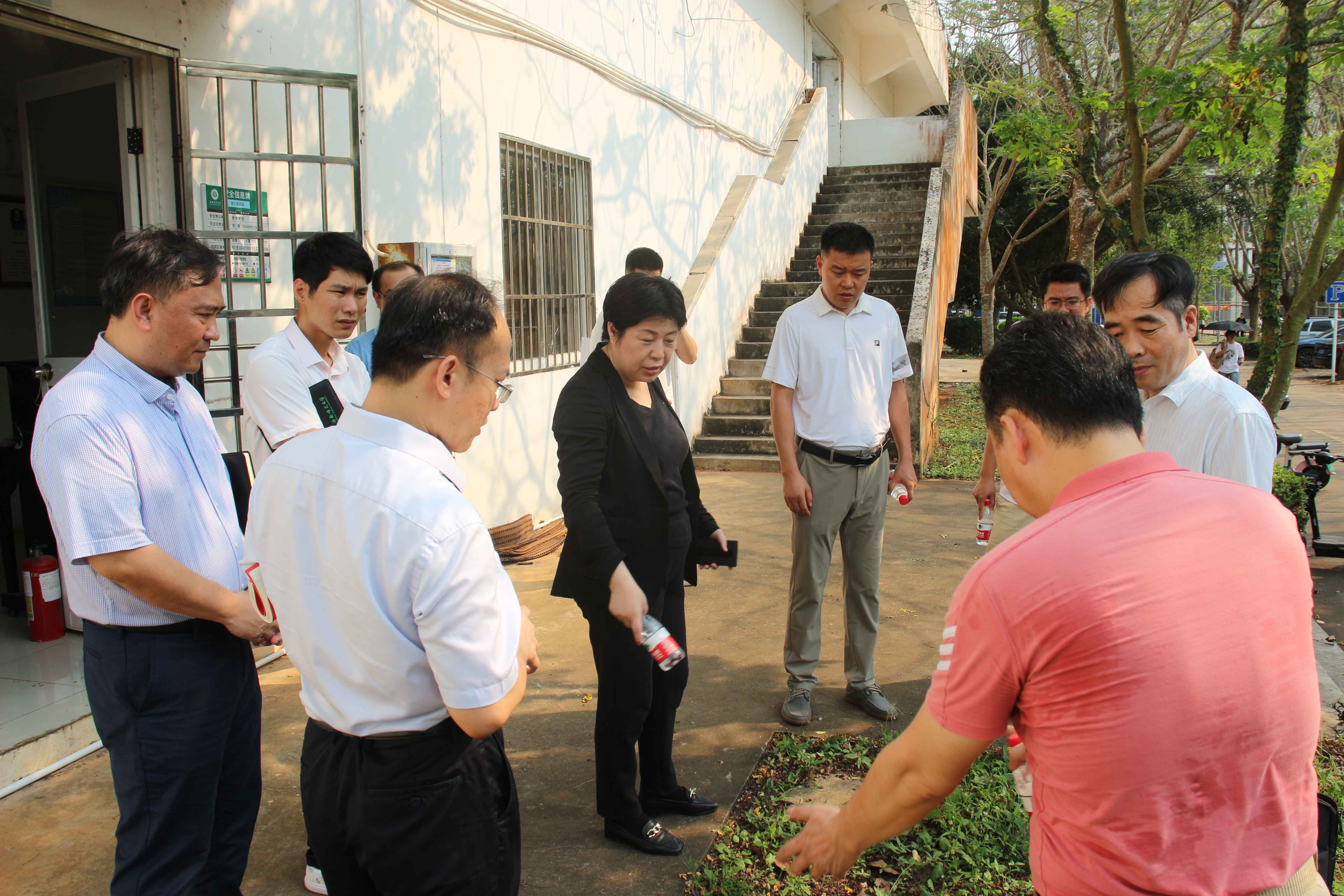 许玫专项调研教育学院中美合作办学工作