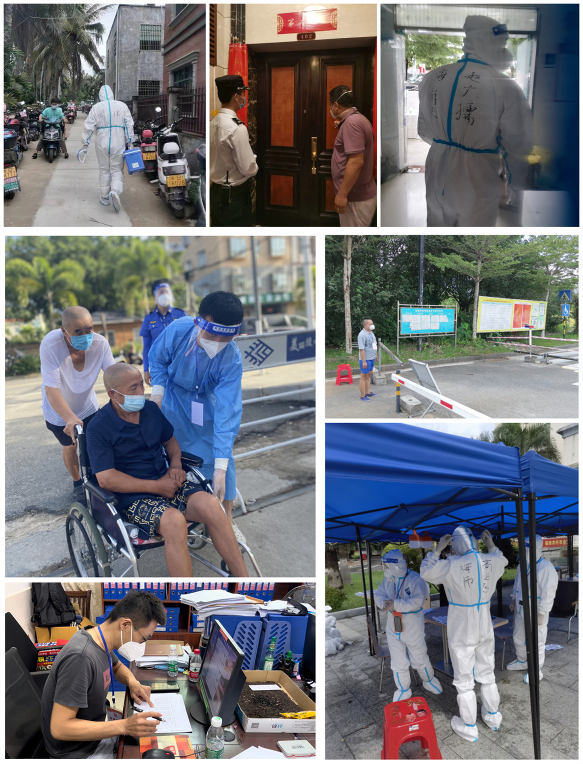 海师人“手”护这片“绿”