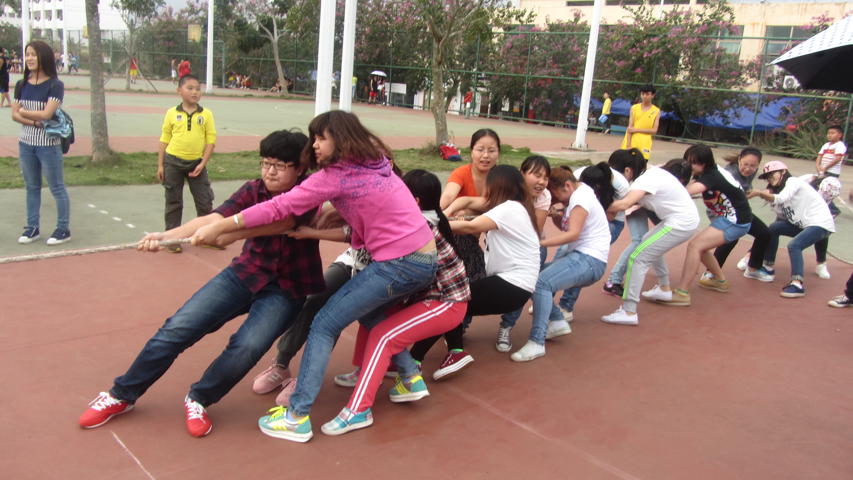 三月女人节，看我教科女――记教育科学学院女子拔河赛