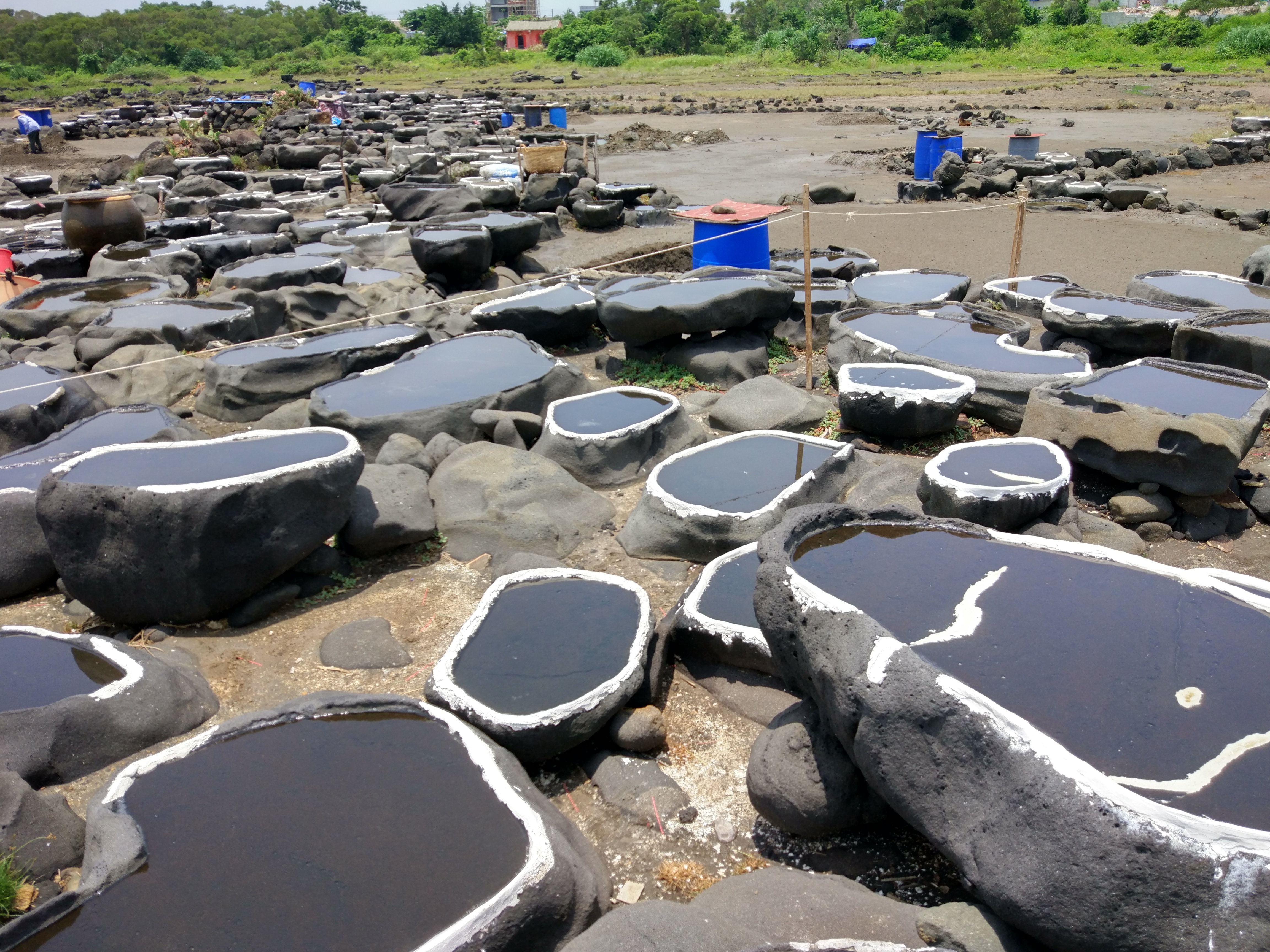 海师新闻学子赴儋州开展海南乡村旅游文化节直播活动――记酣途旅游公司与新闻传播与影