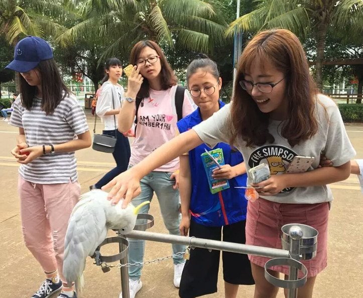 青年之声.我和动物有个约会