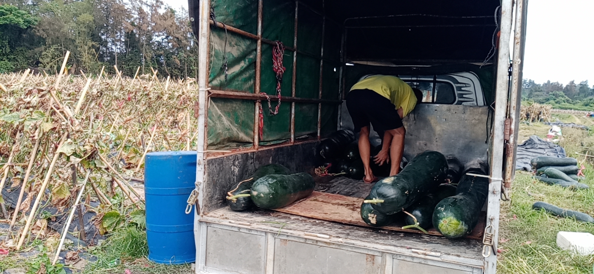 我校老党员陈宝珍爱心助农