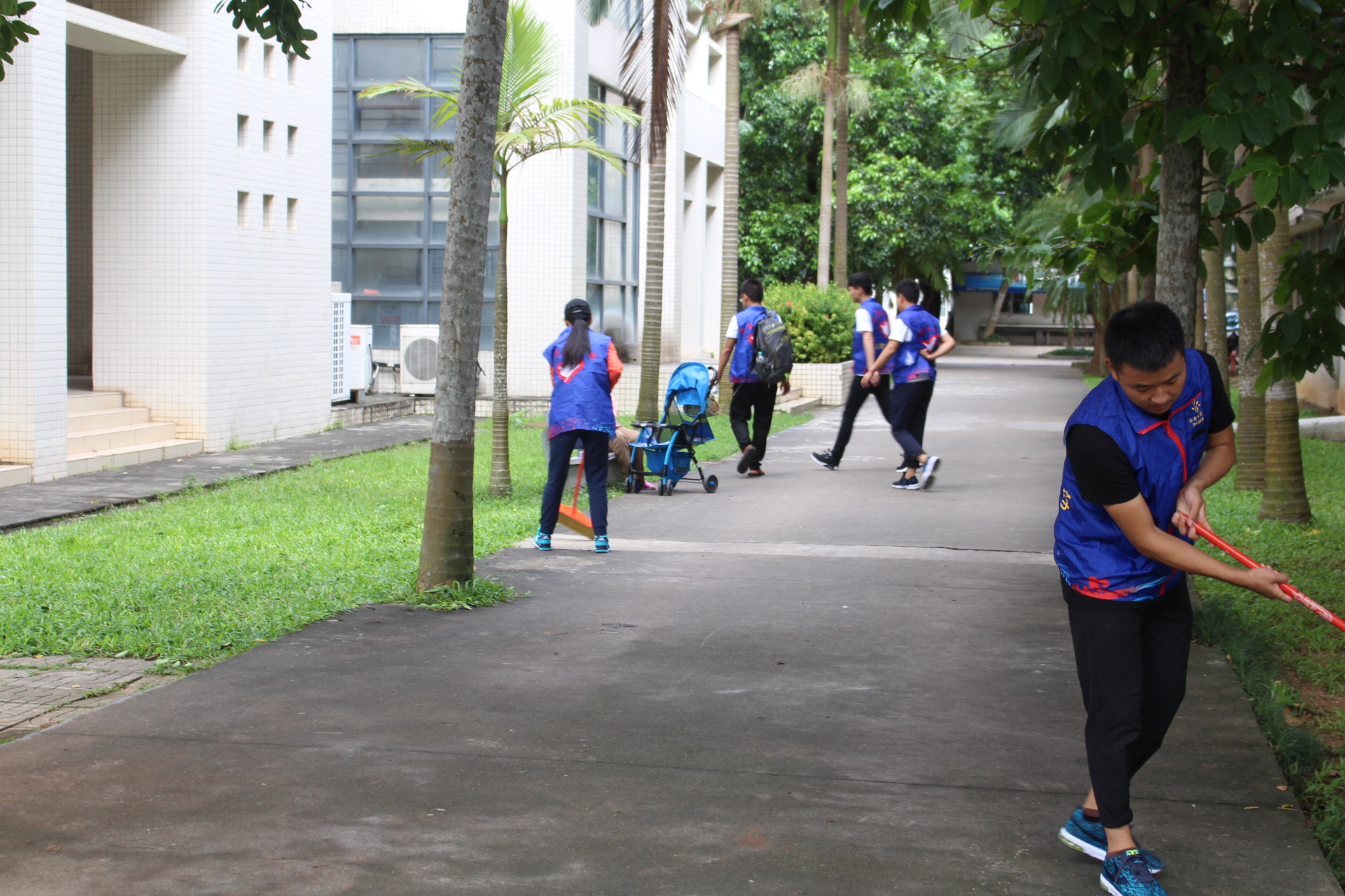 青年之声・不惧台风,校园重整--记物理与电子工程学院校园清扫志愿服务活动