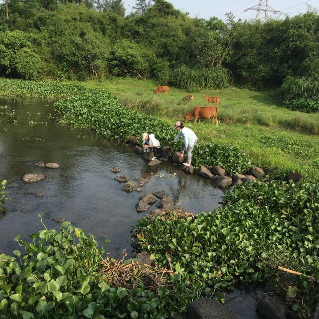 我院圆满完成2016年“三下乡”暑期社会实践活动