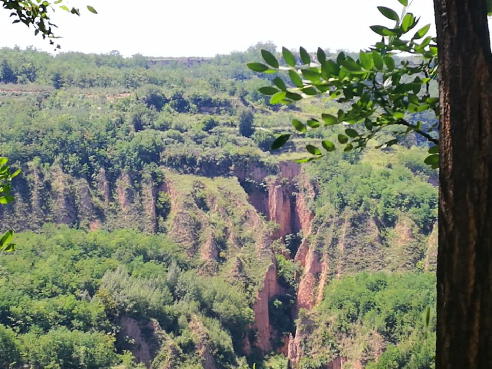 我院学子参加2017年第九届全国地理学国家理科人才培养基地联合实习