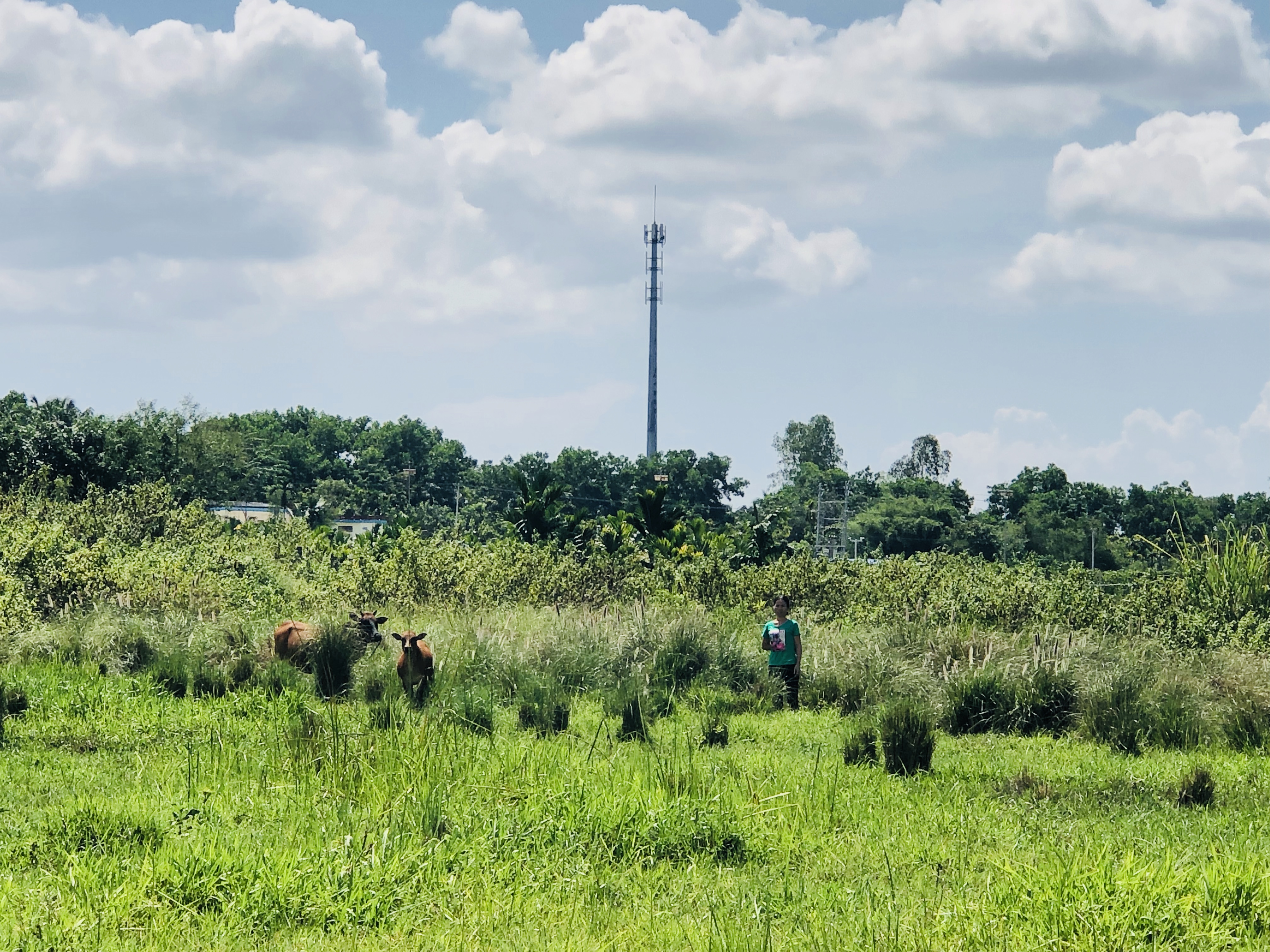 学院相关领导、老师国庆假期赴