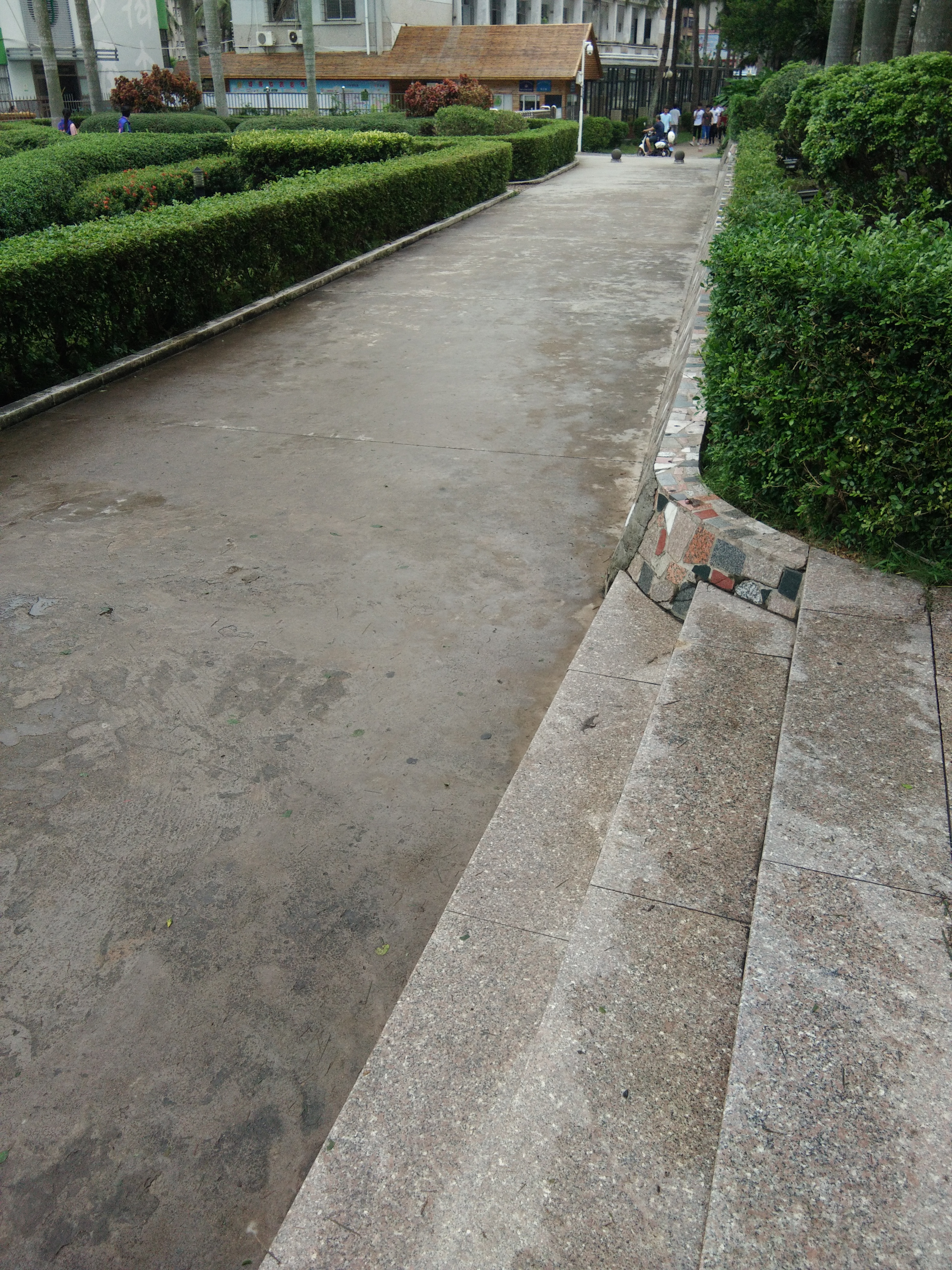 台风过后，暖心清扫 ――记我院开展校园清扫工作