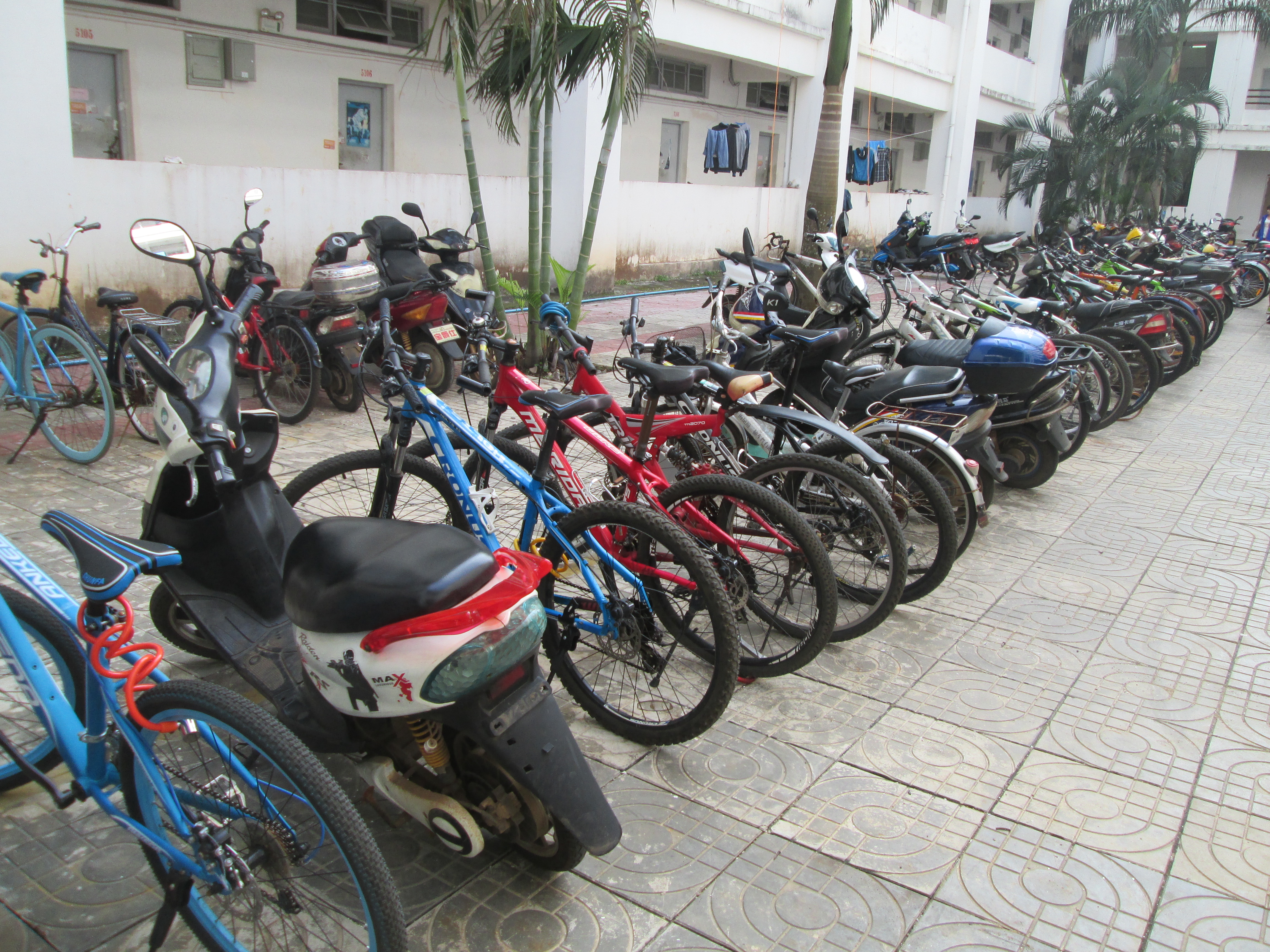 校园便民行 志愿在心中--记经管学院青年志愿者协会校园便民活动