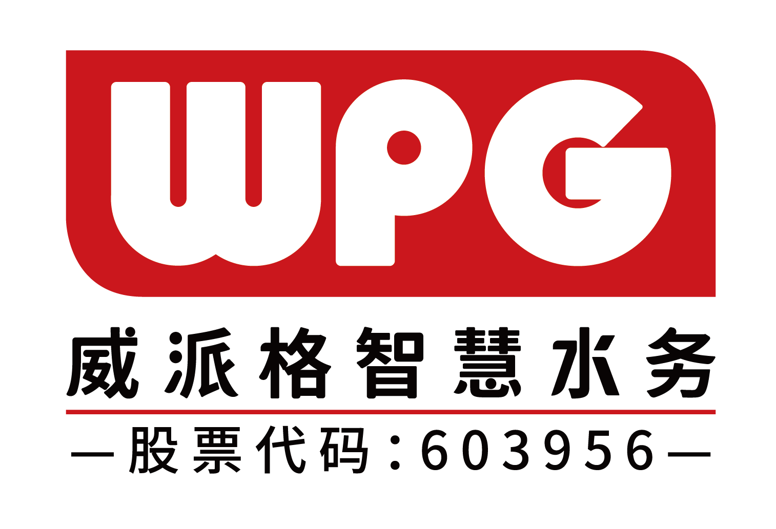 上海威派格智慧水务股份有限公司海口分公司