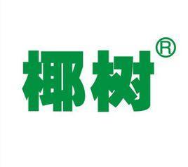 椰树集团有限公司宣讲会