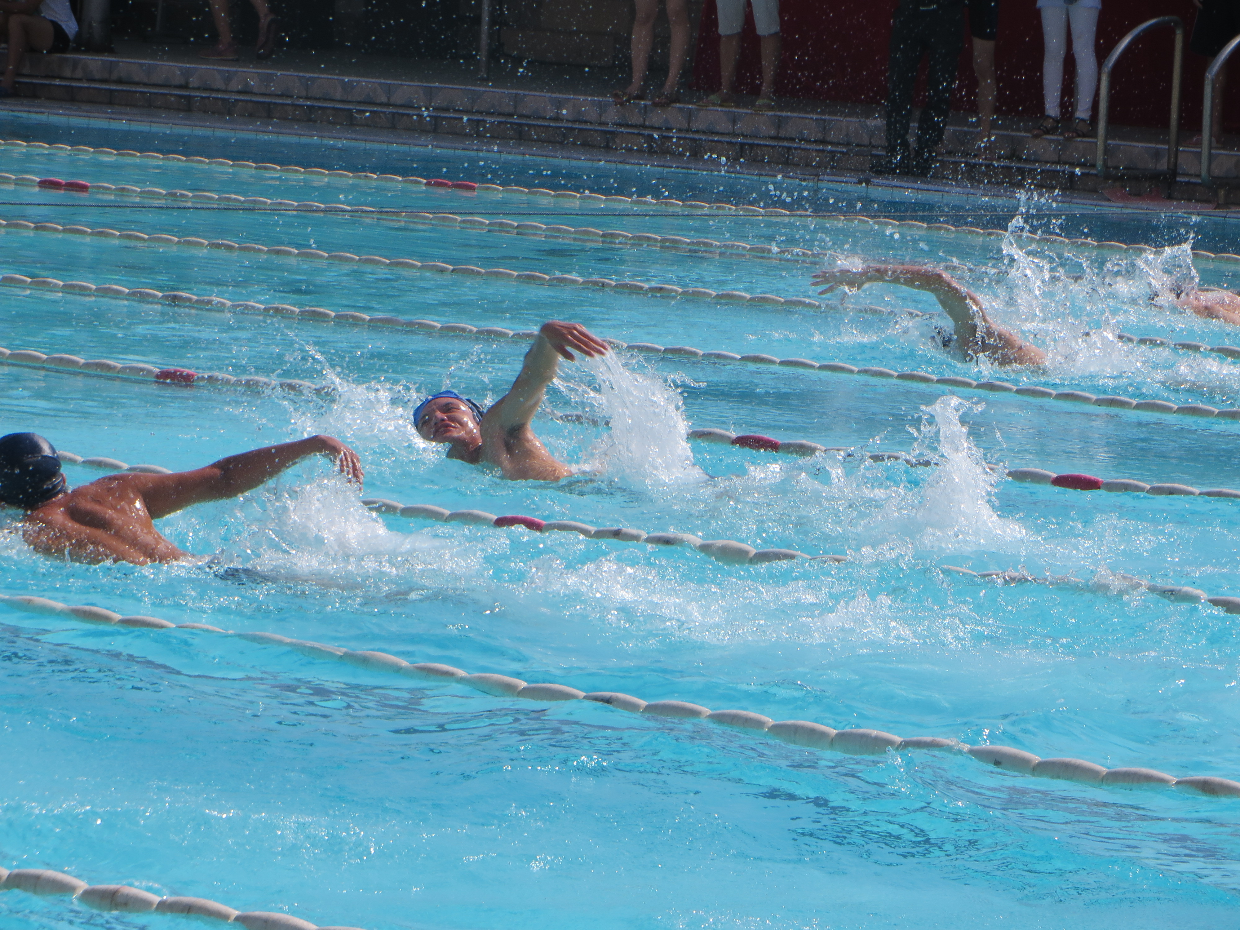 游出快乐，游出健康――记政法学院参与校第三届学生游泳比赛