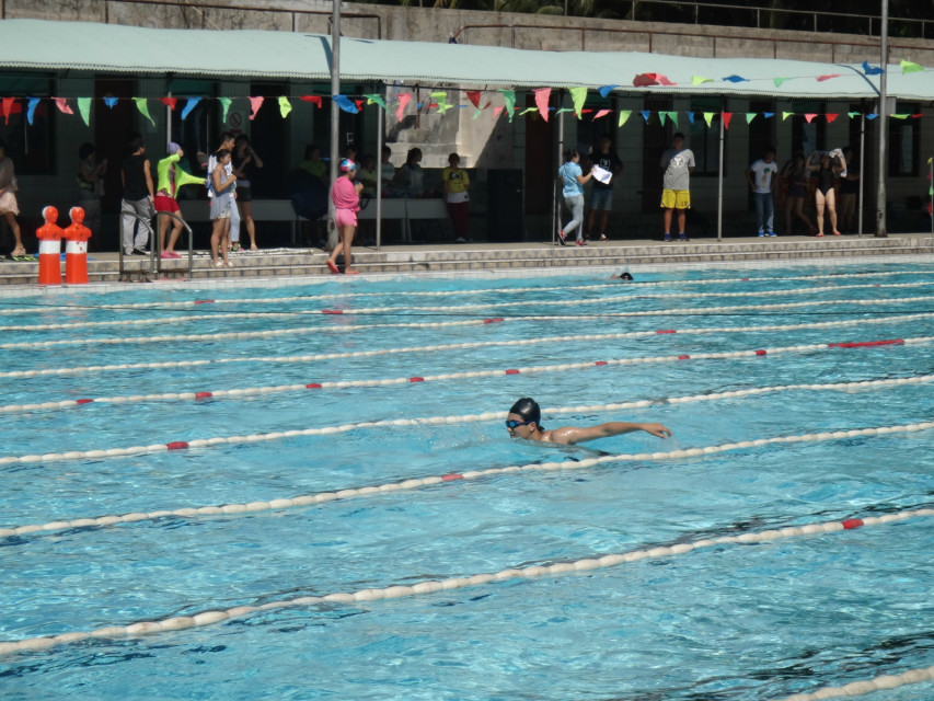 游进泳池，我运动我健康我快乐