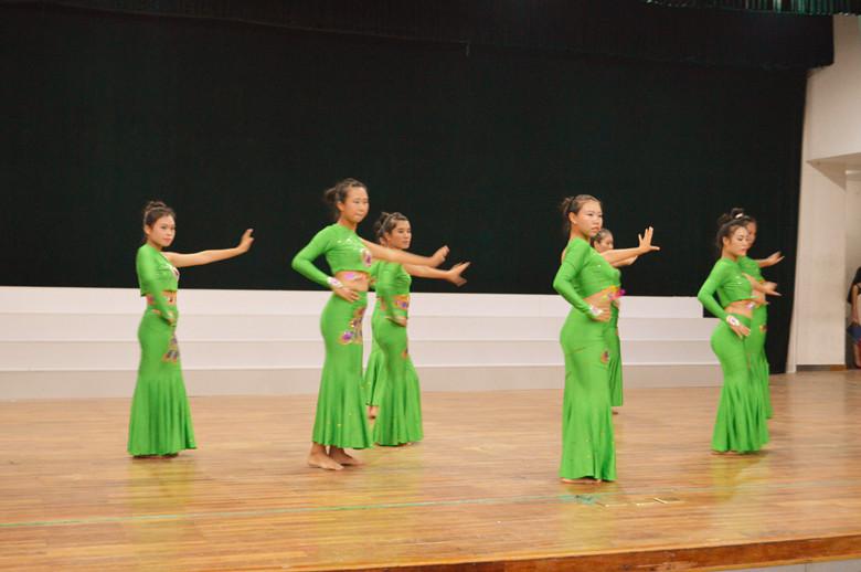 共筑梦想 绽放青春――记数学与统计学院2014级迎新晚会