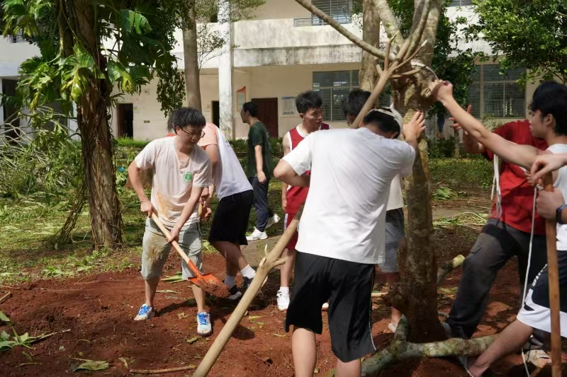 各单位开展校园恢复重建工作 （三）