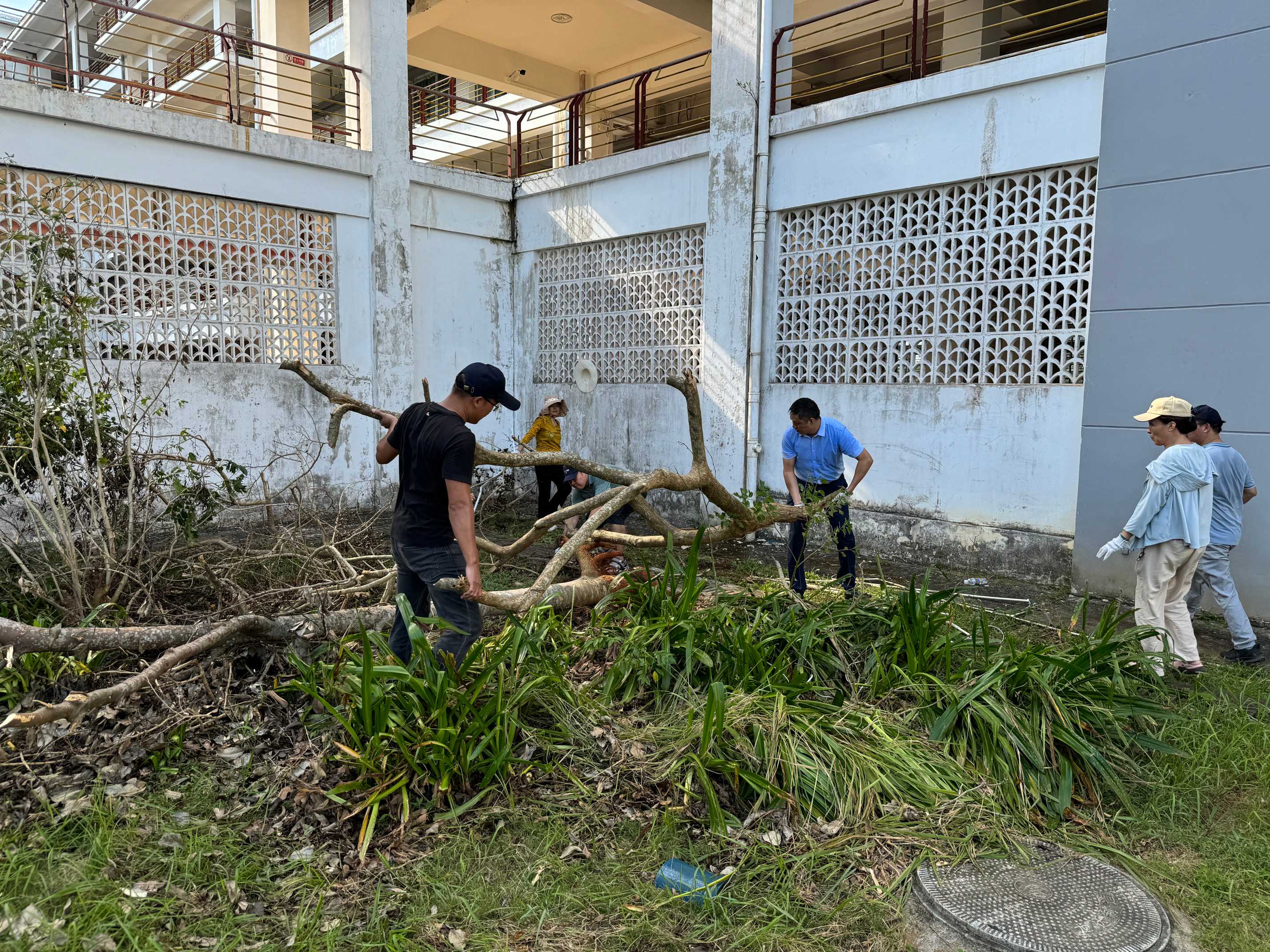 各单位开展校园恢复重建工作 （三）