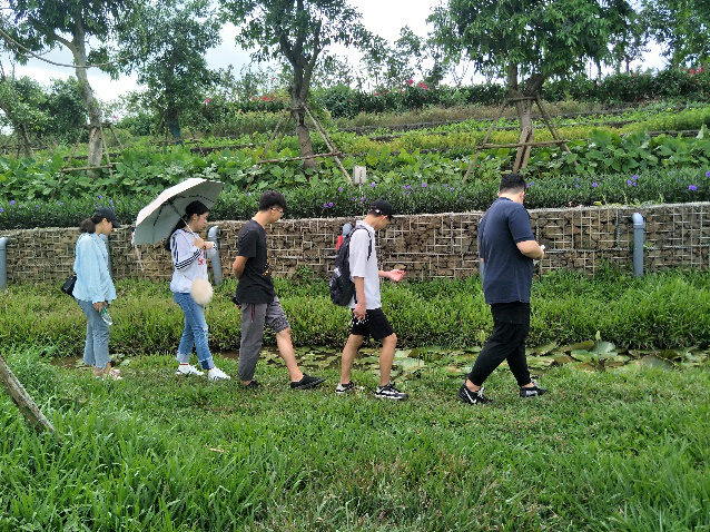 学习雷锋――美舍河公园公益环保