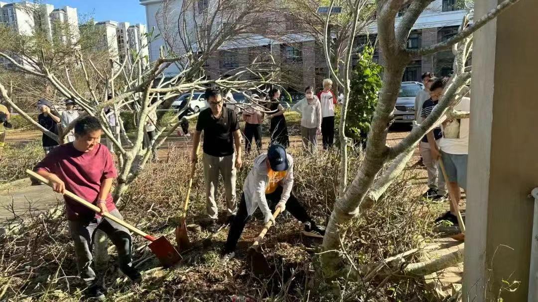 各学院开展校园恢复重建工作（二）