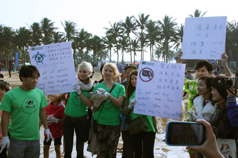 放生海龟，环保在我心――记生命科学学院海龟放生活动 