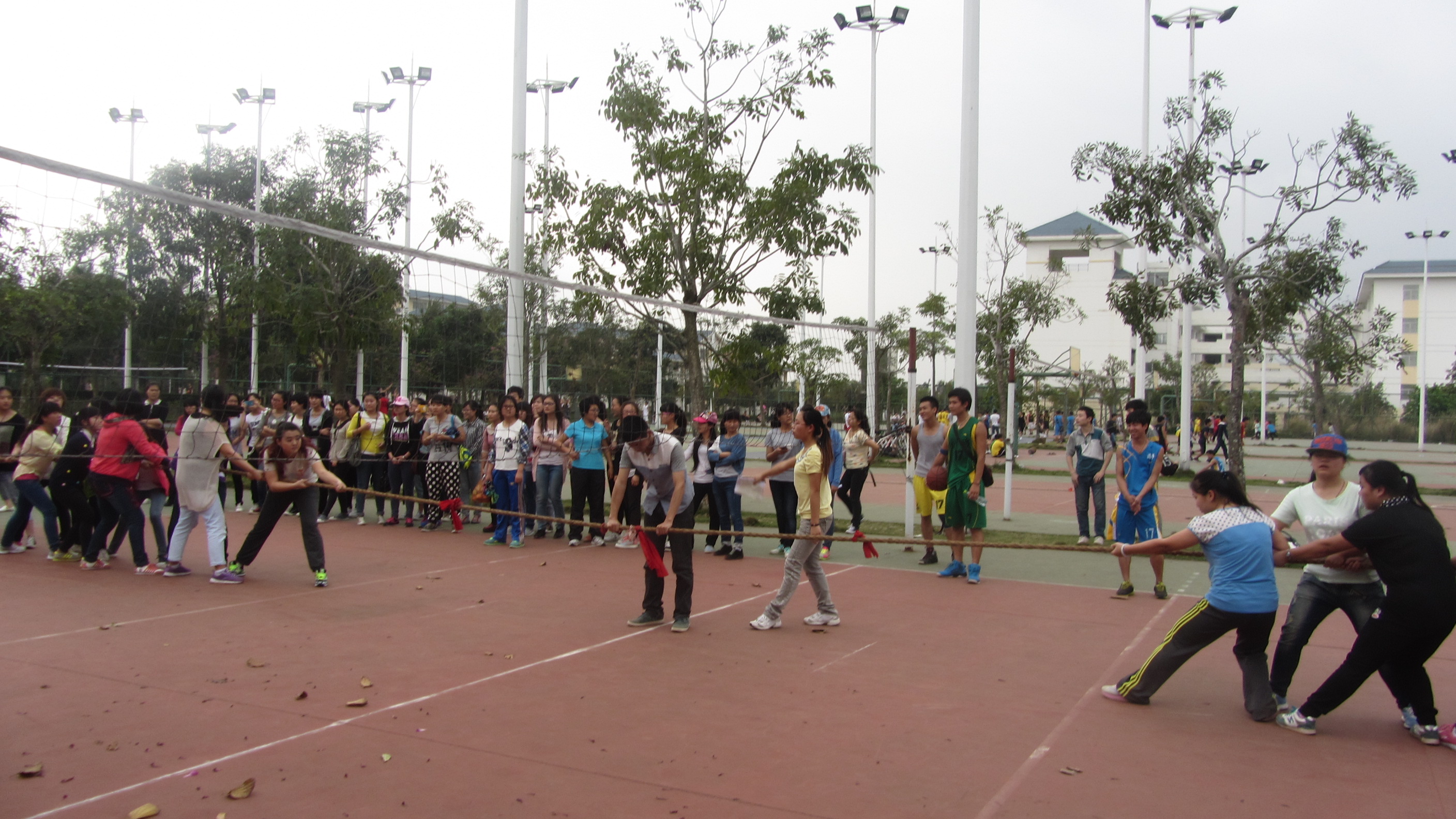 三月女人节，看我教科女――记教育科学学院女子拔河赛